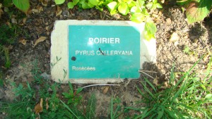 plaque2