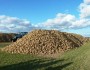 Période d’enlèvement de betteraves Période d’enlèvement de betteraves