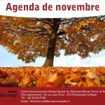 Agenda de novembre du CIAS de l’Intercom 