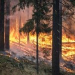 Risque très sévère de feux d’espaces naturels dans l’Eure 