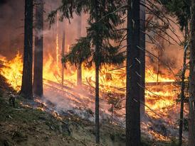 risque-tres-severe-de-feux-d-espaces-naturels-dans-l-eure-le-prefet-appelle-a-la-vigilance-de-tous_large-1