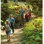 Evénements du mois de juillet sur le territoire de l’Intercom Evénements du mois de juillet sur le territoire de l’Intercom